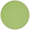 MAC Cosmetics Matte Eye Shadow Pro Palette Refill Lime