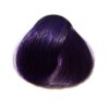 Directions Hair Colour Plum
